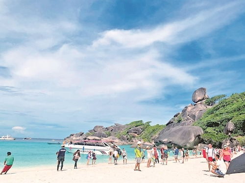 丽江出境游强劲复苏 引领旅行新风潮