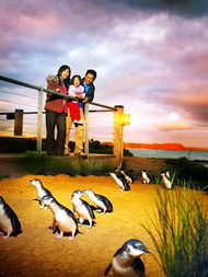 十一出境游长线产品上市热卖，扬子旅游引领热潮