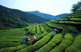 从北京出发，探索世界 一份出境旅行指南