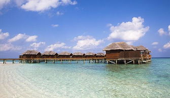 中国出境旅游年报发布 2014-2015年出境游市场持续火爆